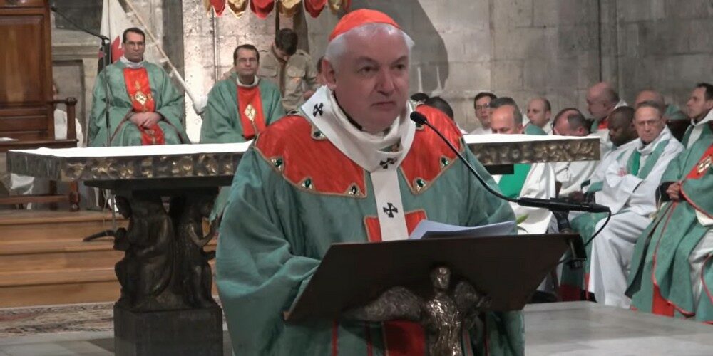 cardinal chandeleur2023 cardinal chandeleur2023