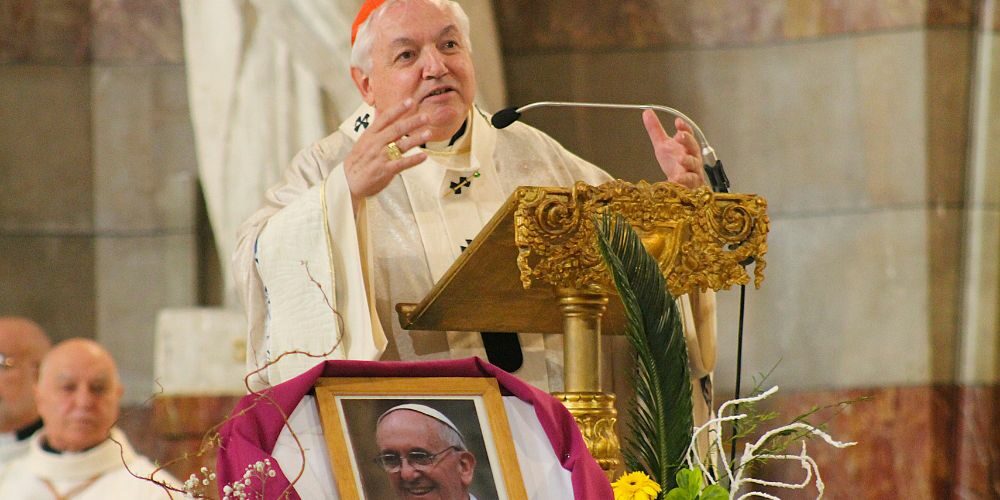 cardinal pape cardinal pape